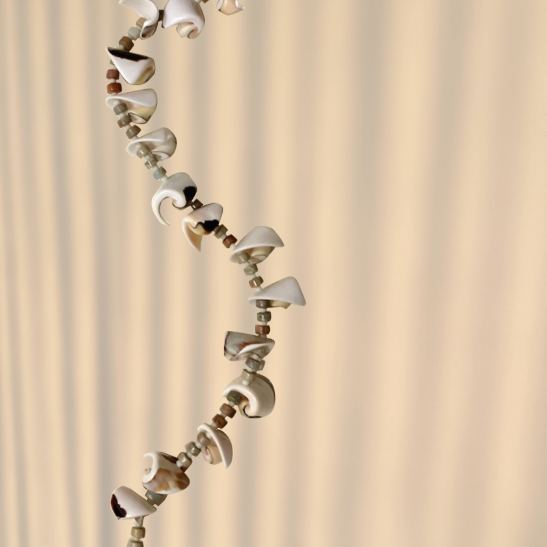 Spiral of the sea collar