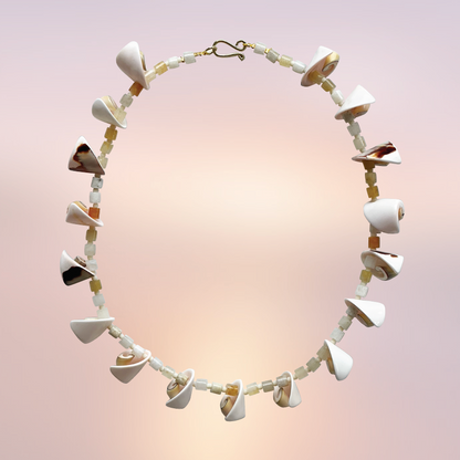 Anchored to the ocean collar